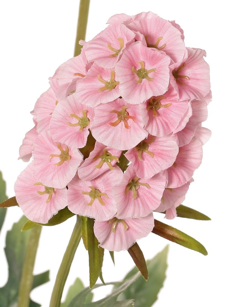 Dianthus (Chinese carnation) 3x branched with 3 flowers (2x 8*5 cm, 1x 6*5 cm) & 6 leaves, 77 cm