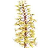 Eucomis (Lirio de piña) con flores de poliéster y capullos de flores de plástico, 90 cm