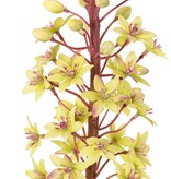 Eucomis (Lirio de piña) con flores de poliéster y capullos de flores de plástico, 90 cm