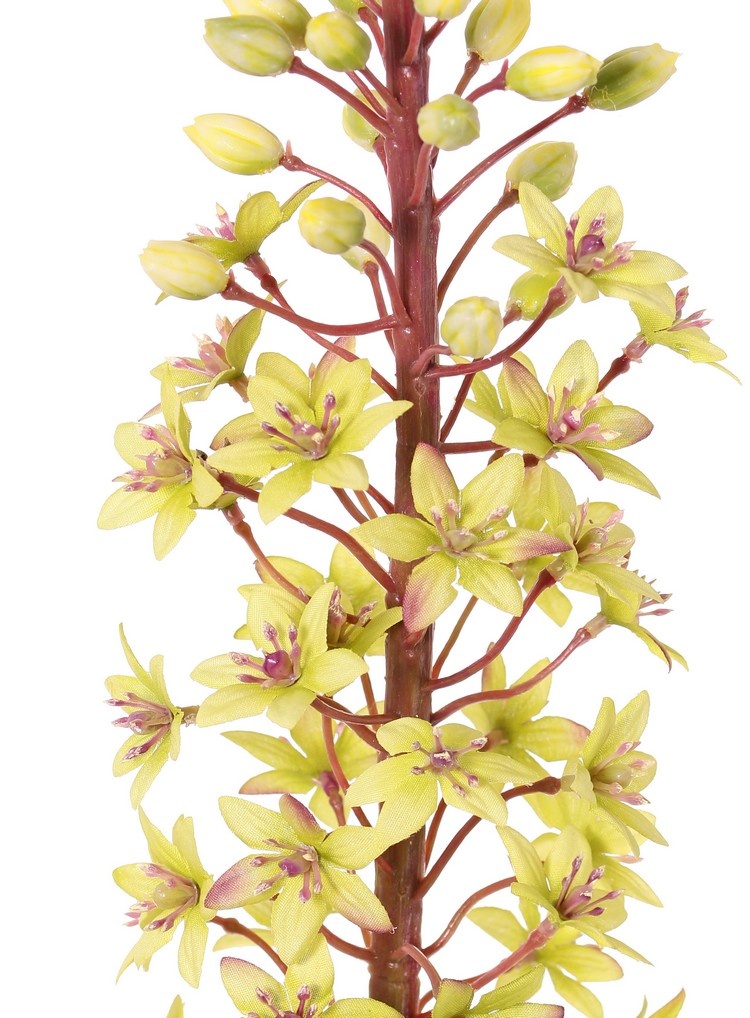 Eucomis (Lirio de piña) con flores de poliéster y capullos de flores de plástico, 90 cm