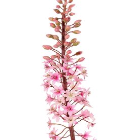 Eucomis (Pineapple Lily) with polyester flowers and plastic flower buds, 90 cm