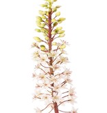 Eucomis (Pineapple Lily) with polyester flowers and plastic flower buds, 90 cm