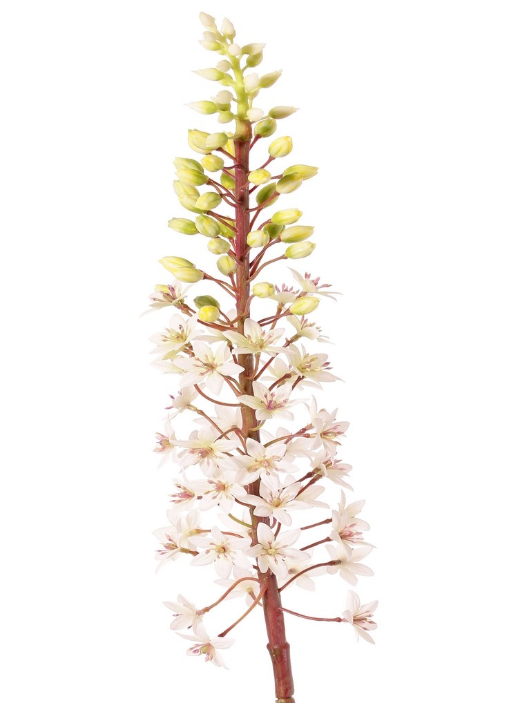 Eucomis (Lirio de piña) con flores de poliéster y capullos de flores de plástico, 90 cm