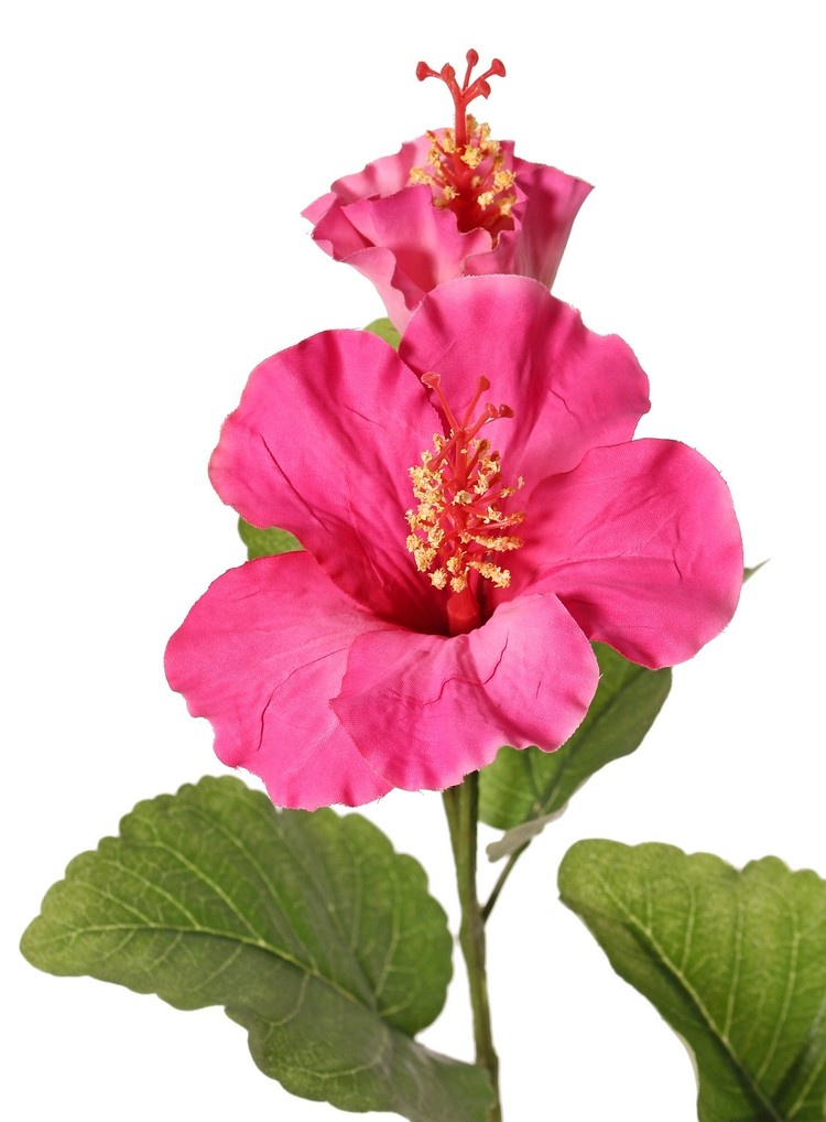 130721DR - Hibiscus (Chinese roos) 2x vertakt met 4 bloemen, 6 plastic knoppen & 13 bladeren, 80 cm