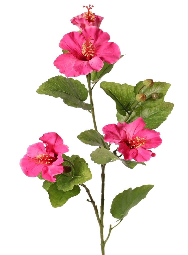 130721DR - Hibiscus (Chinese roos) 2x vertakt met 4 bloemen, 6 plastic knoppen & 13 bladeren, 80 cm