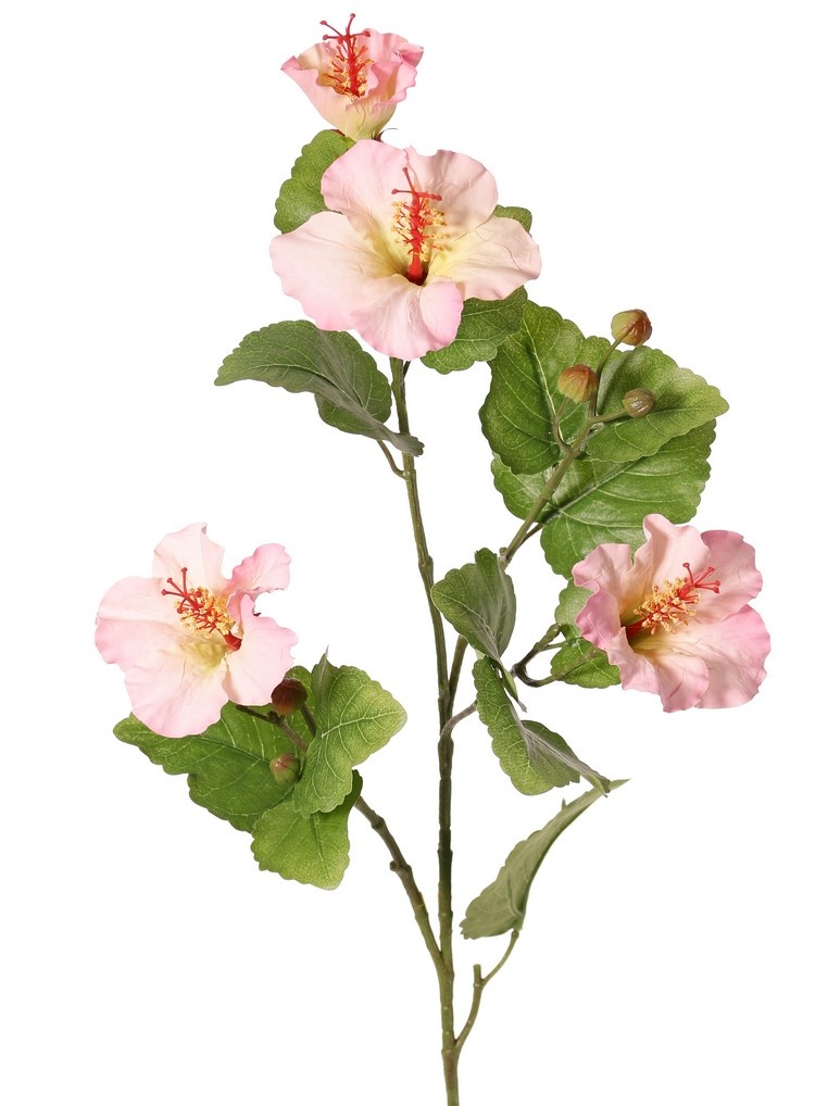 130721LR - Hibiscus (Chinese roos) 2x vertakt met 4 bloemen, 6 plastic knoppen & 13 bladeren, 80 cm