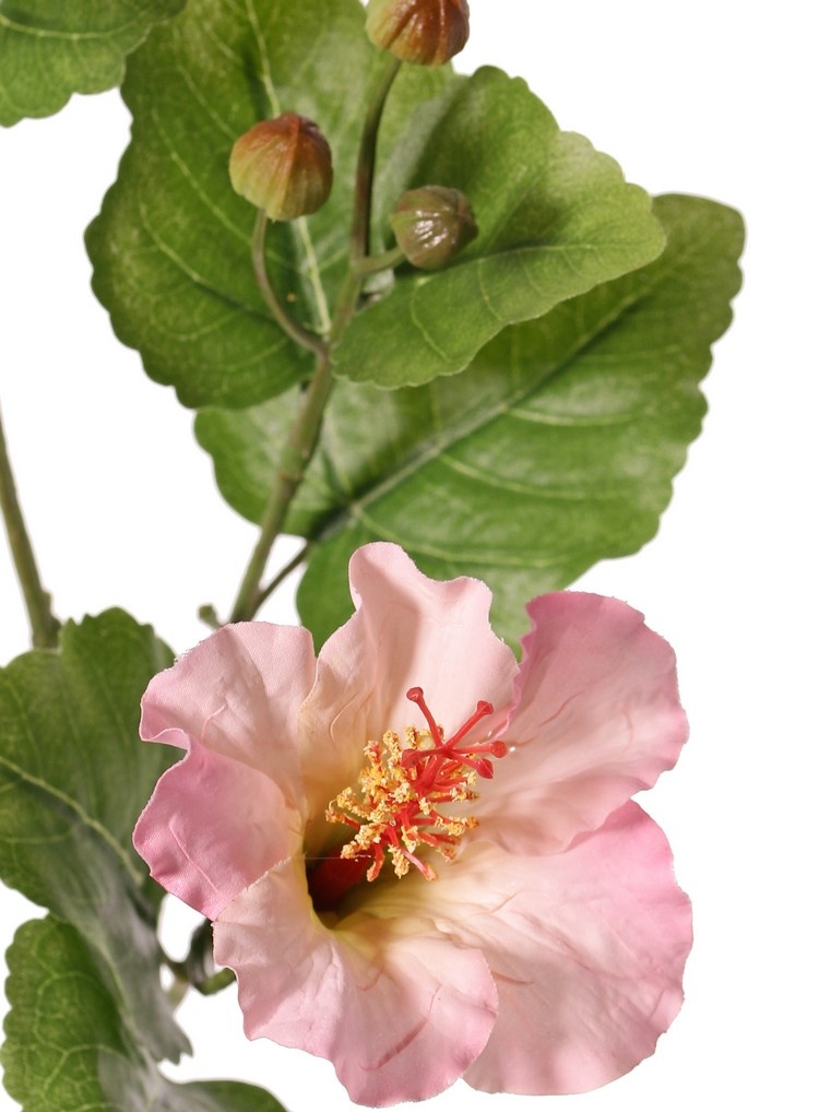130721LR - Hibiscus (Chinese roos) 2x vertakt met 4 bloemen, 6 plastic knoppen & 13 bladeren, 80 cm