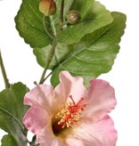 130721LR - Hibiscus (Chinese roos) 2x vertakt met 4 bloemen, 6 plastic knoppen & 13 bladeren, 80 cm