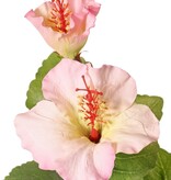 130721LR - Hibiscus (Chinese roos) 2x vertakt met 4 bloemen, 6 plastic knoppen & 13 bladeren, 80 cm