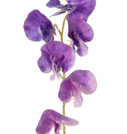 Lathyrus (Pronkerwt) met 6 bloemen (Ø 5cm), 35 cm, real touch