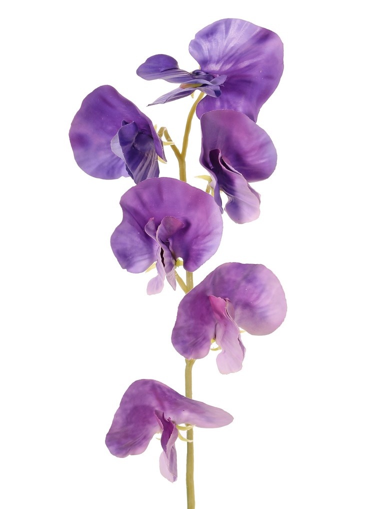 Lathyrus (Pronkerwt) met 6 bloemen (Ø 5cm), 35 cm, real touch