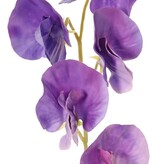 Lathyrus (Pronkerwt) met 6 bloemen (Ø 5cm), 35 cm, real touch