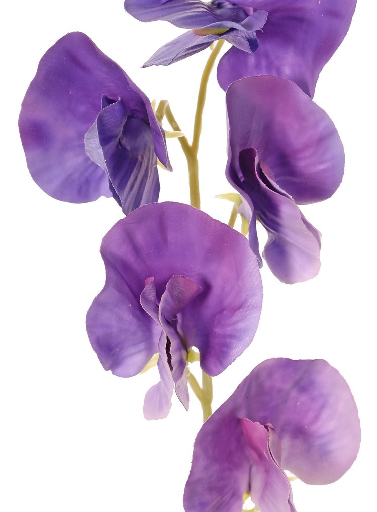 Lathyrus (Pronkerwt) met 6 bloemen (Ø 5cm), 35 cm, real touch