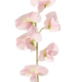 Guisante de olor con 6 flores (Ø 5cm), 35 cm, real touch