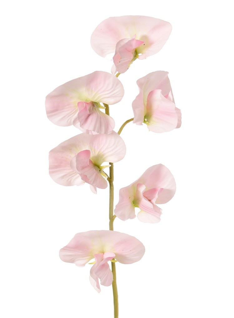 Lathyrus (Pronkerwt) met 6 bloemen (Ø 5cm), 35 cm, real touch