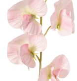 Guisante de olor con 6 flores (Ø 5cm), 35 cm, real touch