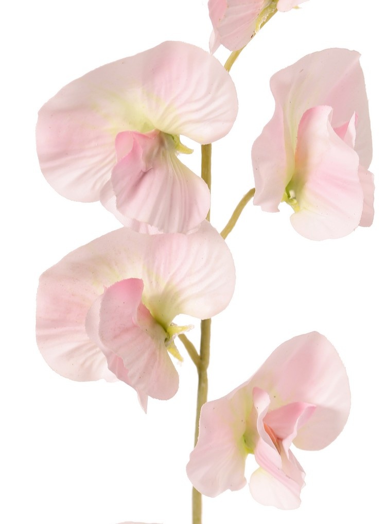 Lathyrus (Pronkerwt) met 6 bloemen (Ø 5cm), 35 cm, real touch