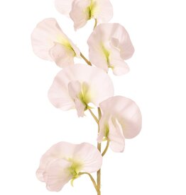 Lathyrus (Pronkerwt) met 6 bloemen (Ø 5cm), 35 cm, real touch