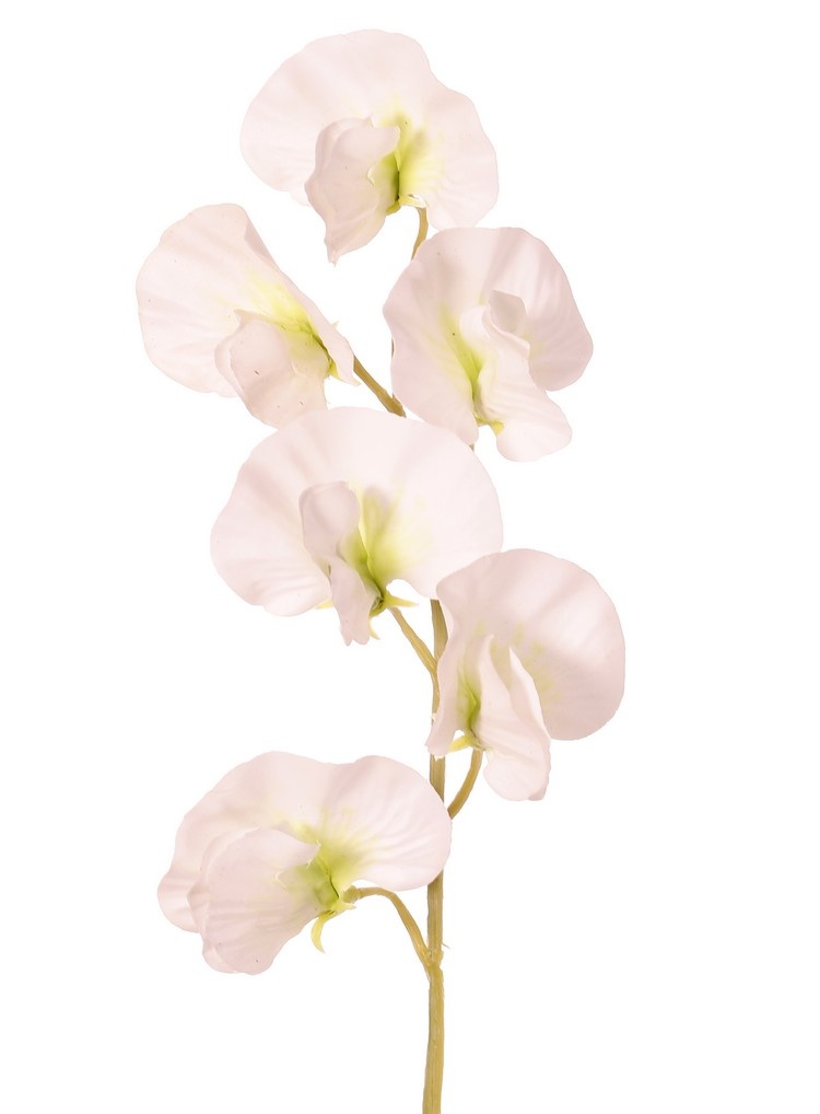 Lathyrus (Pronkerwt) met 6 bloemen (Ø 5cm), 35 cm, real touch