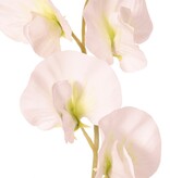 Lathyrus (Pronkerwt) met 6 bloemen (Ø 5cm), 35 cm, real touch
