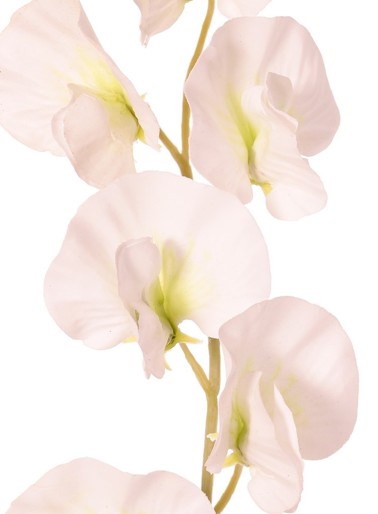 Lathyrus (Pronkerwt) met 6 bloemen (Ø 5cm), 35 cm, real touch