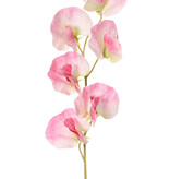 Lathyrus (Pronkerwt) met 6 bloemen (Ø 5cm), 35 cm, real touch