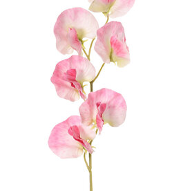 Lathyrus (Pronkerwt) met 6 bloemen (Ø 5cm), 35 cm, real touch
