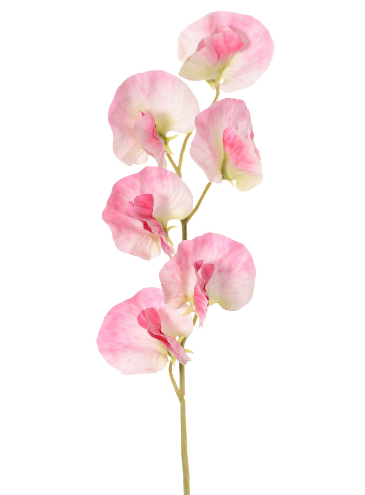 Lathyrus (Pronkerwt) met 6 bloemen (Ø 5cm), 35 cm, real touch