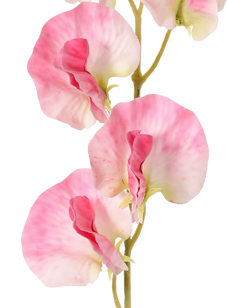 Lathyrus (Pronkerwt) met 6 bloemen (Ø 5cm), 35 cm, real touch