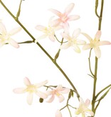 Steinbrech (Saxifraga) mit 41 Polyesterblüten, 73 cm