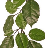 Beech branch (Fagus Sylvatica) x43 lvs. (9/ 7/ 6/ 3,5cm), 65cm, fire retardant