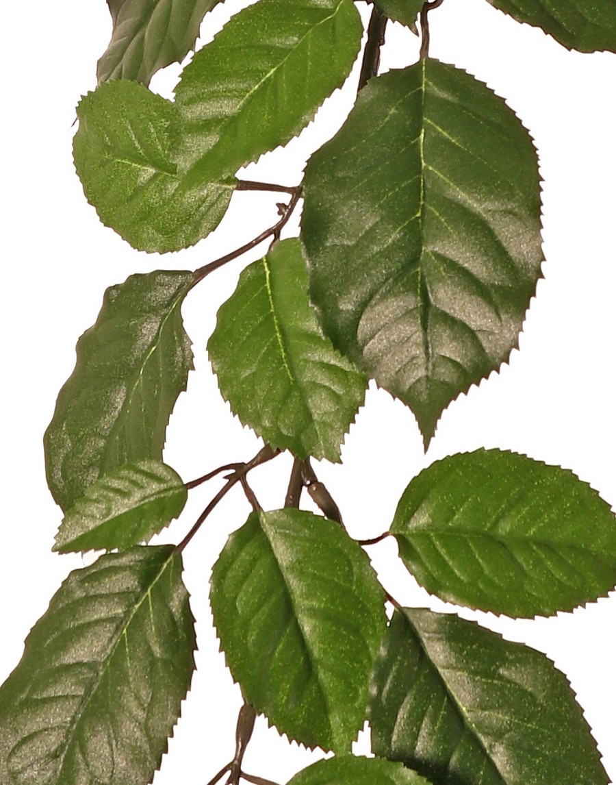 Beech branch (Fagus Sylvatica) x43 lvs. (9/ 7/ 6/ 3,5cm), 65cm, fire retardant
