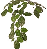 Beech branch (Fagus Sylvatica) x43 lvs. (9/ 7/ 6/ 3,5cm), 65cm, fire retardant