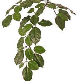Beech branch (Fagus Sylvatica) x43 lvs. (9/ 7/ 6/ 3,5cm), 65cm, fire retardant
