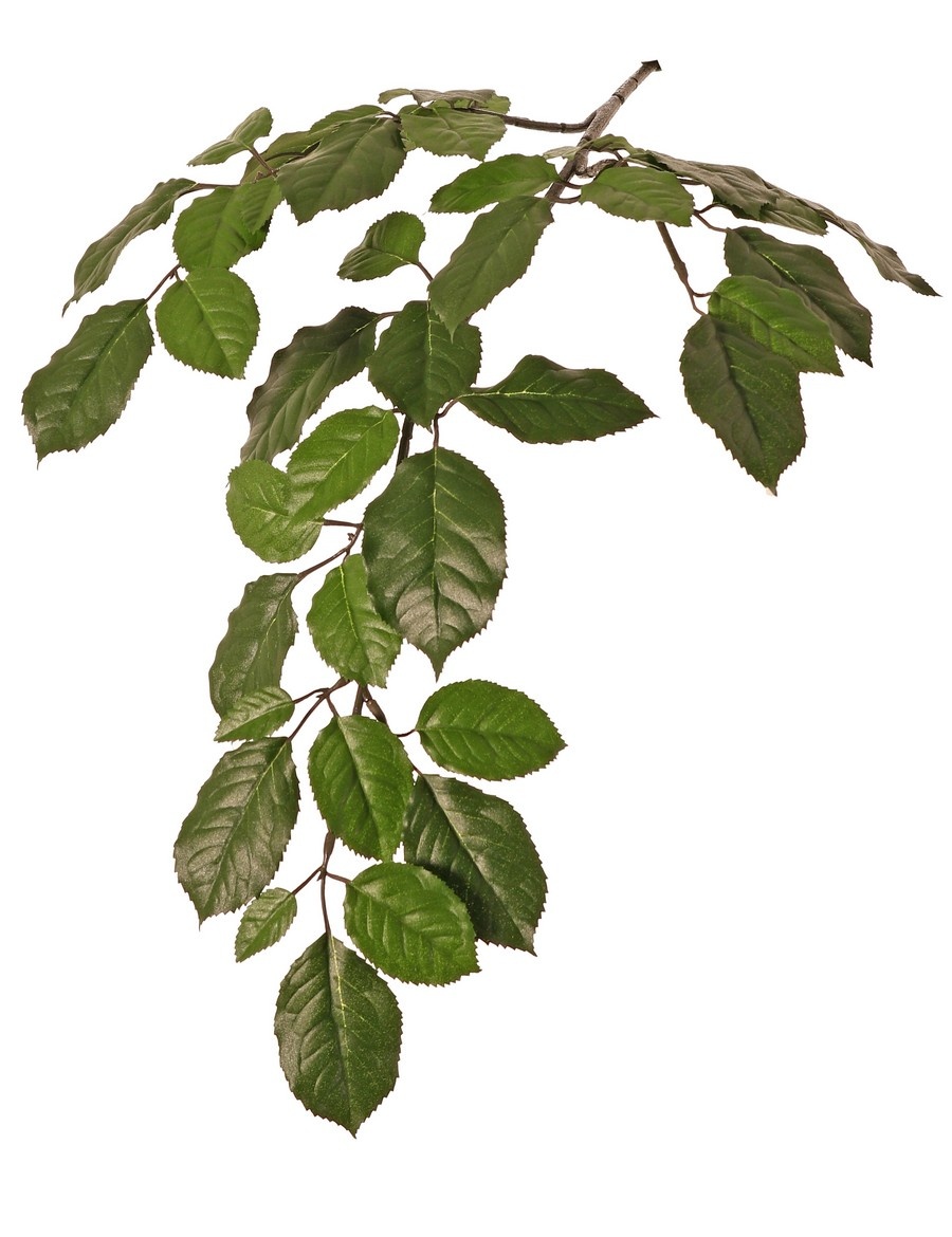 Beech branch (Fagus Sylvatica) x43 lvs. (9/ 7/ 6/ 3,5cm), 65cm, fire retardant