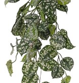 Planta colgante Scindapsus (Epipremnum), 60 hojas y estolones de poliéster, ignífuga, 72 cm