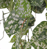 Planta colgante Scindapsus (Epipremnum), 60 hojas y estolones de poliéster, ignífuga, 72 cm
