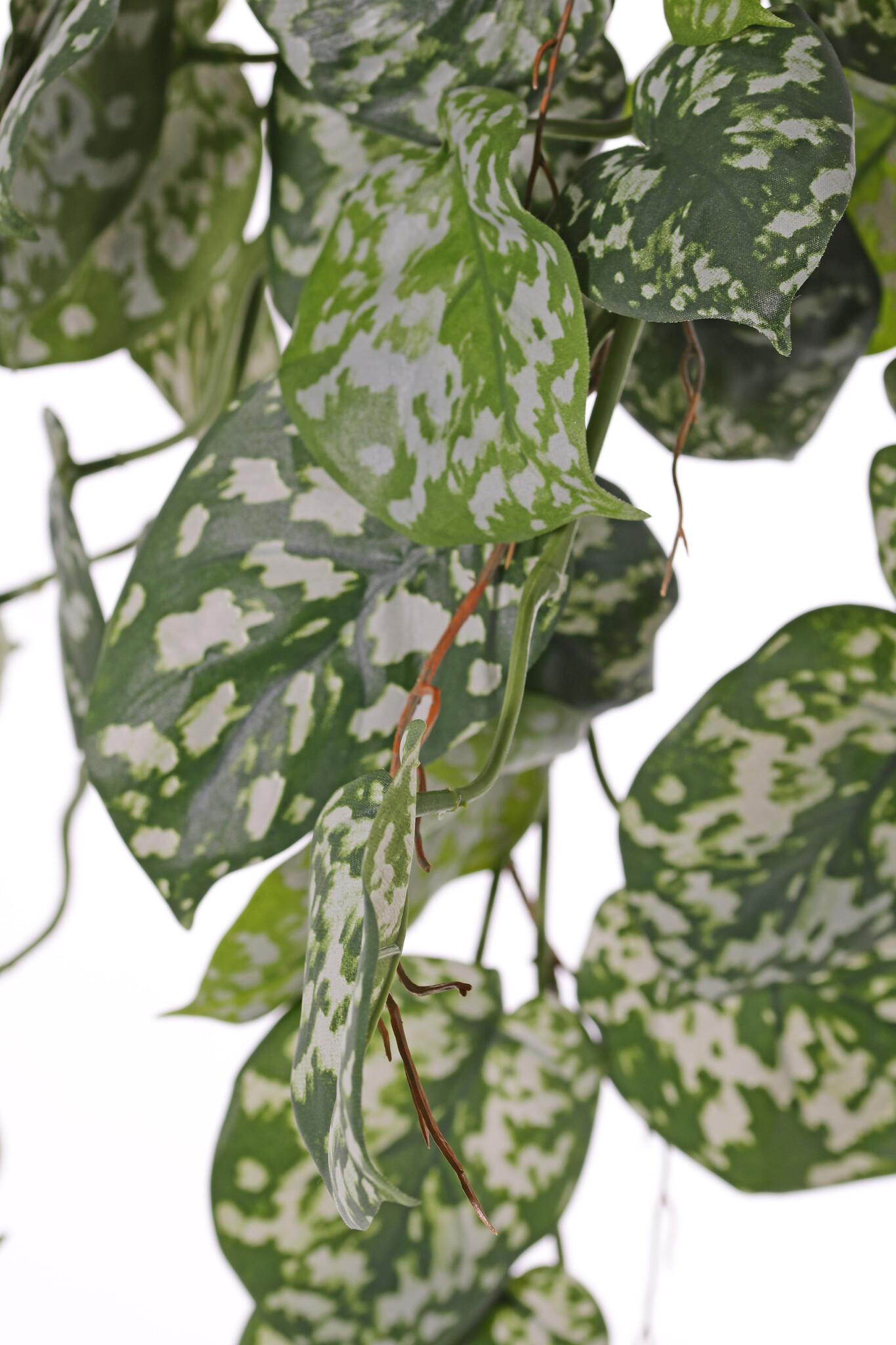 Planta colgante Scindapsus (Epipremnum), 60 hojas y estolones de poliéster, ignífuga, 72 cm