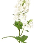 Fliederzweig (Syringa) mit 2 Blütenständen (20 / 8 cm), 12 Blätter (3 L / 2 M / 7 S), 80 cm