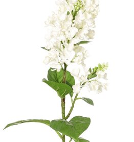 Syringa con 2 flores, (20 / 8 cm), 12 hojas (3 L / 2 M / 7 S), 80 cm