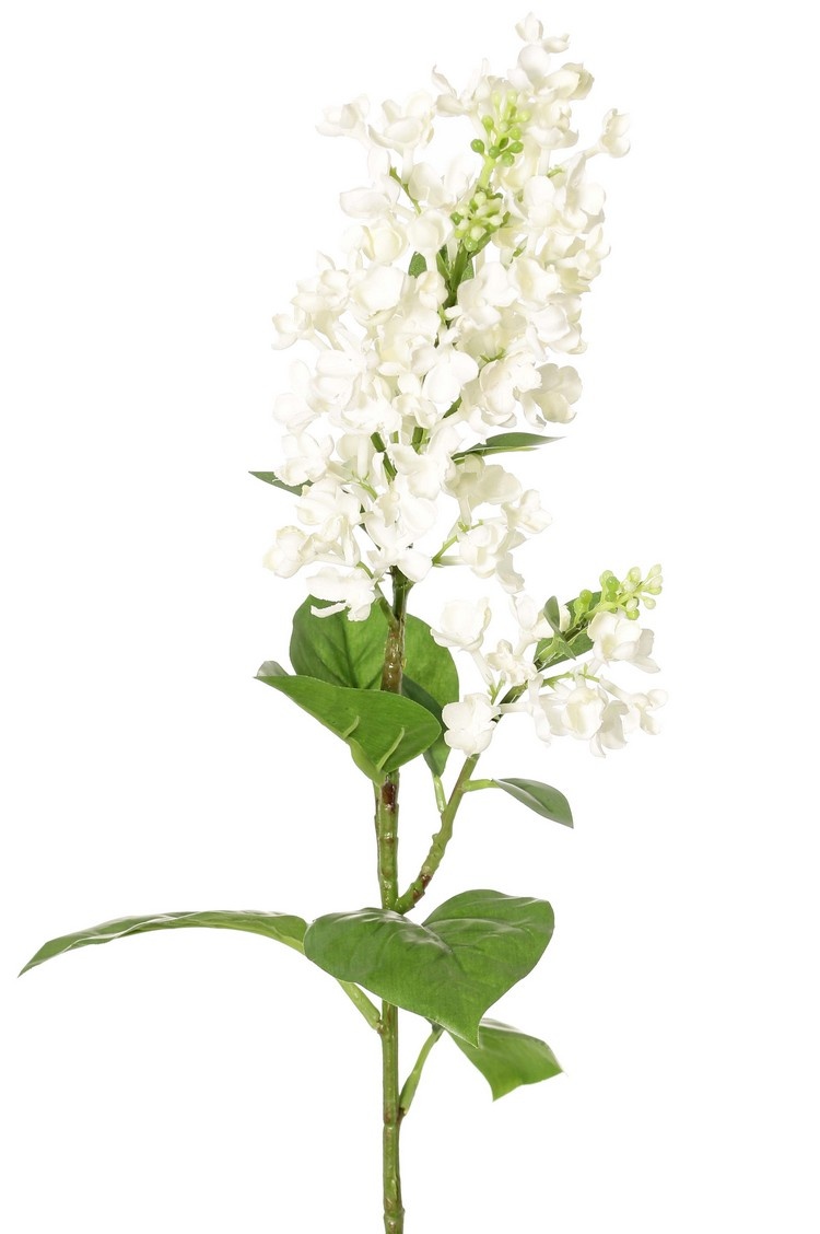 Fliederzweig (Syringa) mit 2 Blütenständen (20 / 8 cm), 12 Blätter (3 L / 2 M / 7 S), 80 cm