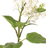 Fliederzweig (Syringa) mit 2 Blütenständen (20 / 8 cm), 12 Blätter (3 L / 2 M / 7 S), 80 cm