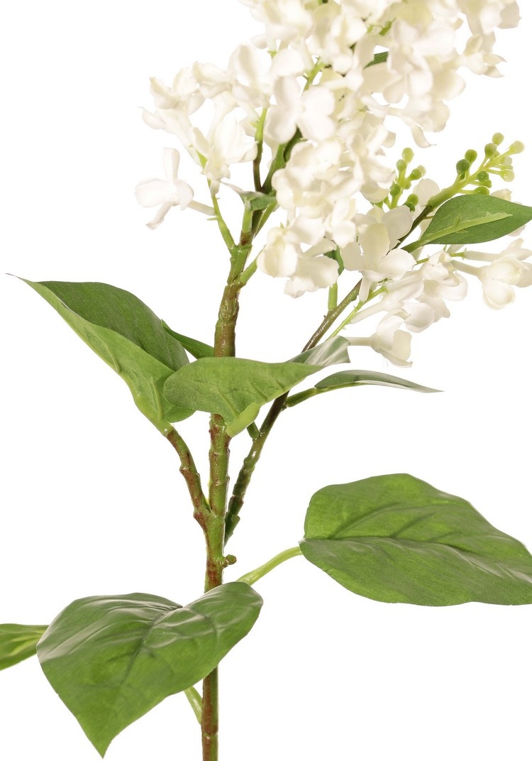 Fliederzweig (Syringa) mit 2 Blütenständen (20 / 8 cm), 12 Blätter (3 L / 2 M / 7 S), 80 cm
