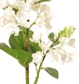 Syringa con 2 flores, (20 / 8 cm), 12 hojas (3 L / 2 M / 7 S), 80 cm