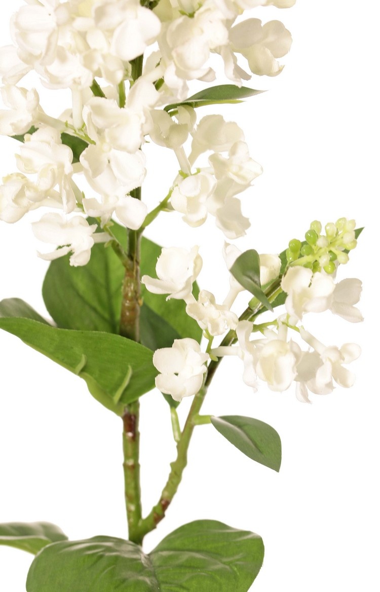 Fliederzweig (Syringa) mit 2 Blütenständen (20 / 8 cm), 12 Blätter (3 L / 2 M / 7 S), 80 cm