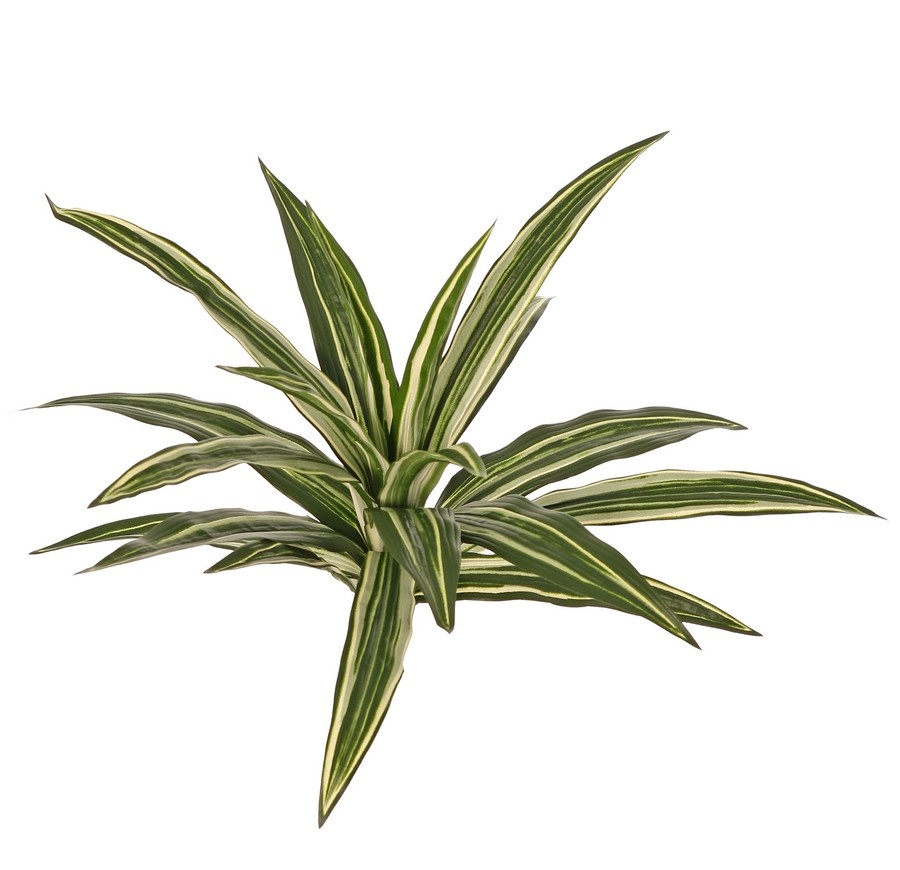 Planta Dracaena con 20 hojas de poliéster, Ø 50cm, ignífuga