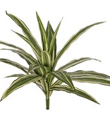 Planta Dracaena con 20 hojas de poliéster, Ø 50cm, ignífuga