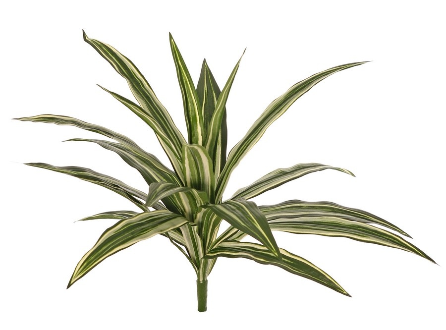 Planta Dracaena con 20 hojas de poliéster, Ø 50cm, ignífuga
