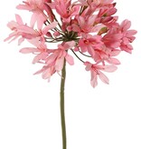 Agapanthus (Afrikaanse lelie) 'XL' met 28 bloemen (Ø 17 x 20 cm) & 25 plastic knoppen, 88 cm