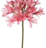 Agapanthus (African lily) 'XL' with 28 flowers (ø17*20cm) & 25 plastic buds, 88 cm